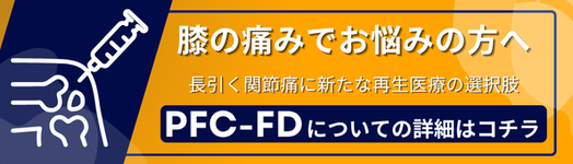 PFC-FD療法